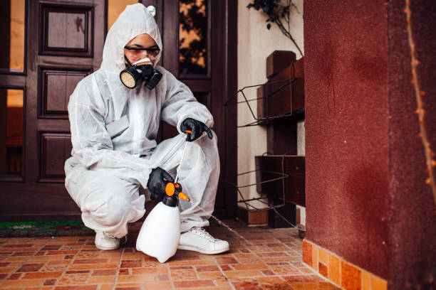 Reliable Wasp Removal contractor in Dayton, NJ by Show Me Pest Control